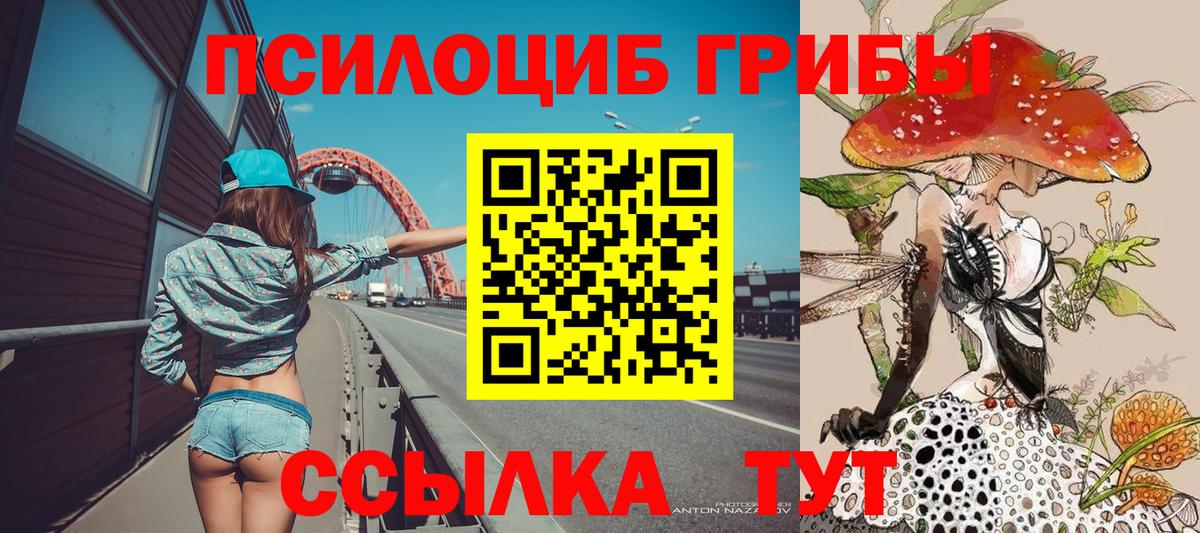 Галлюциногенные грибы GOLDEN TEACHER  Вход с VPN  Железноводск 