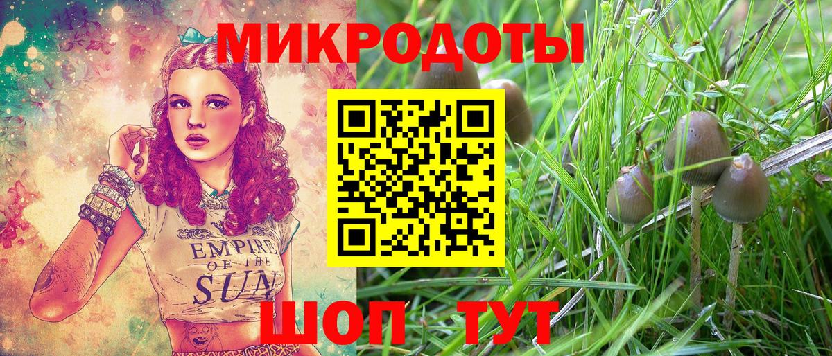 Галлюциногенные грибы мухоморы Железноводск